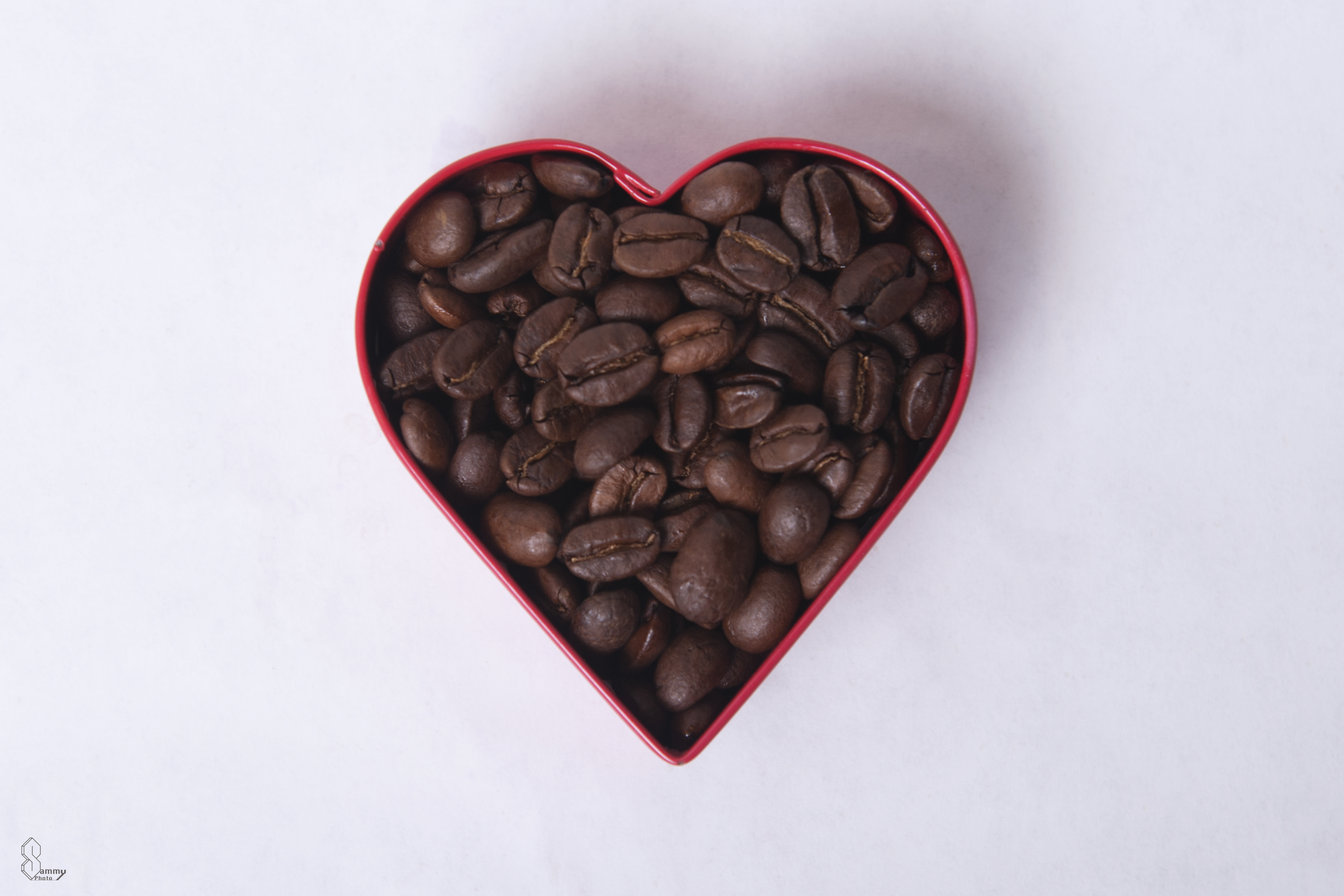 Coffee love  Sammy Photo  Bloglovin’
